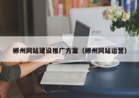 郴州网站建设推广方案（郴州网站运营）