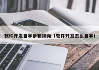 软件开发自学步骤视频（软件开发怎么自学）