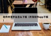 软件开发平台怎么下载（开发软件app下载）