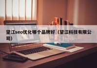 望江seo优化哪个品牌好（望江科技有限公司）