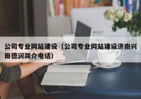 公司专业网站建设（公司专业网站建设济南兴田德润简介电话）