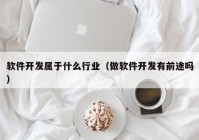 软件开发属于什么行业（做软件开发有前途吗）