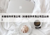 长春软件开发公司（长春软件开发公司怎么样）