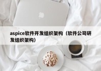 aspice软件开发组织架构（软件公司研发组织架构）